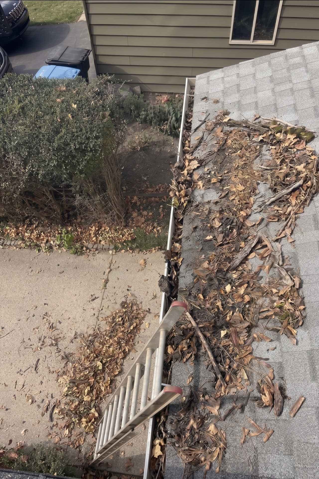 RustysGutterService_Before